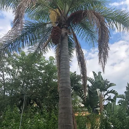 Tatil Evi La Casa Dei Sassi House
